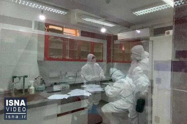 راه اندازی آزمایشگاه تشخیص تست کرونا در سیرجان در آینده راه اندازی آزمایشگاه تشخیص تست کرونا در سیرجان در آینده نزدیک