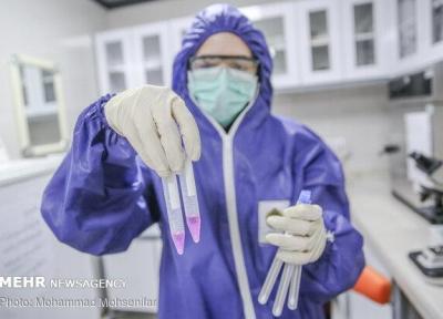 توان شبکه آزمایشگاهی برای مقابله با کرونا، آنالیز توالی ژنوم ویروس