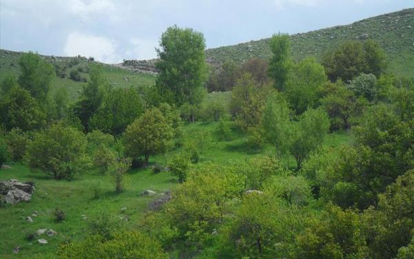 روستای اونار؛ آمیزه ای از تاریخ و طبیعت